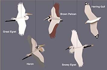Skyflight Mobiles Coastal Birds Mobile