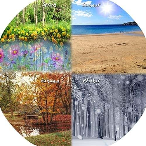 Tiger Moon The Four Seasons Children's Tuff Tray Play Mat - 33.8 x 33.8 Inches - Vinyl - Tuff Tray NOT Included