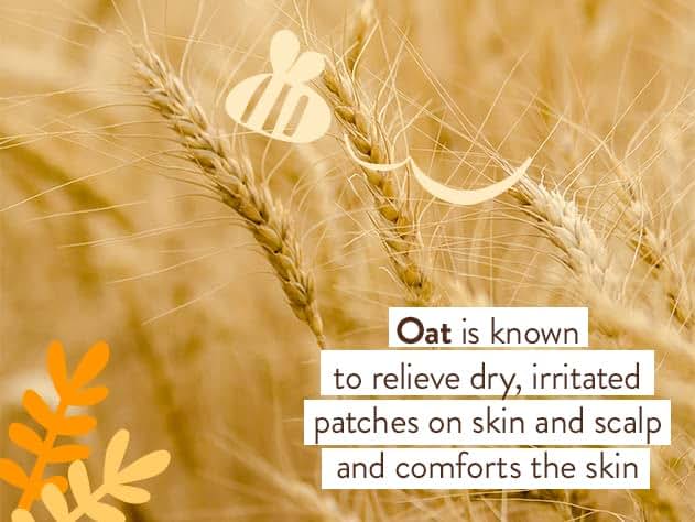 Babo Botanicals Moisturizing Oat & Calendula Body Lotion