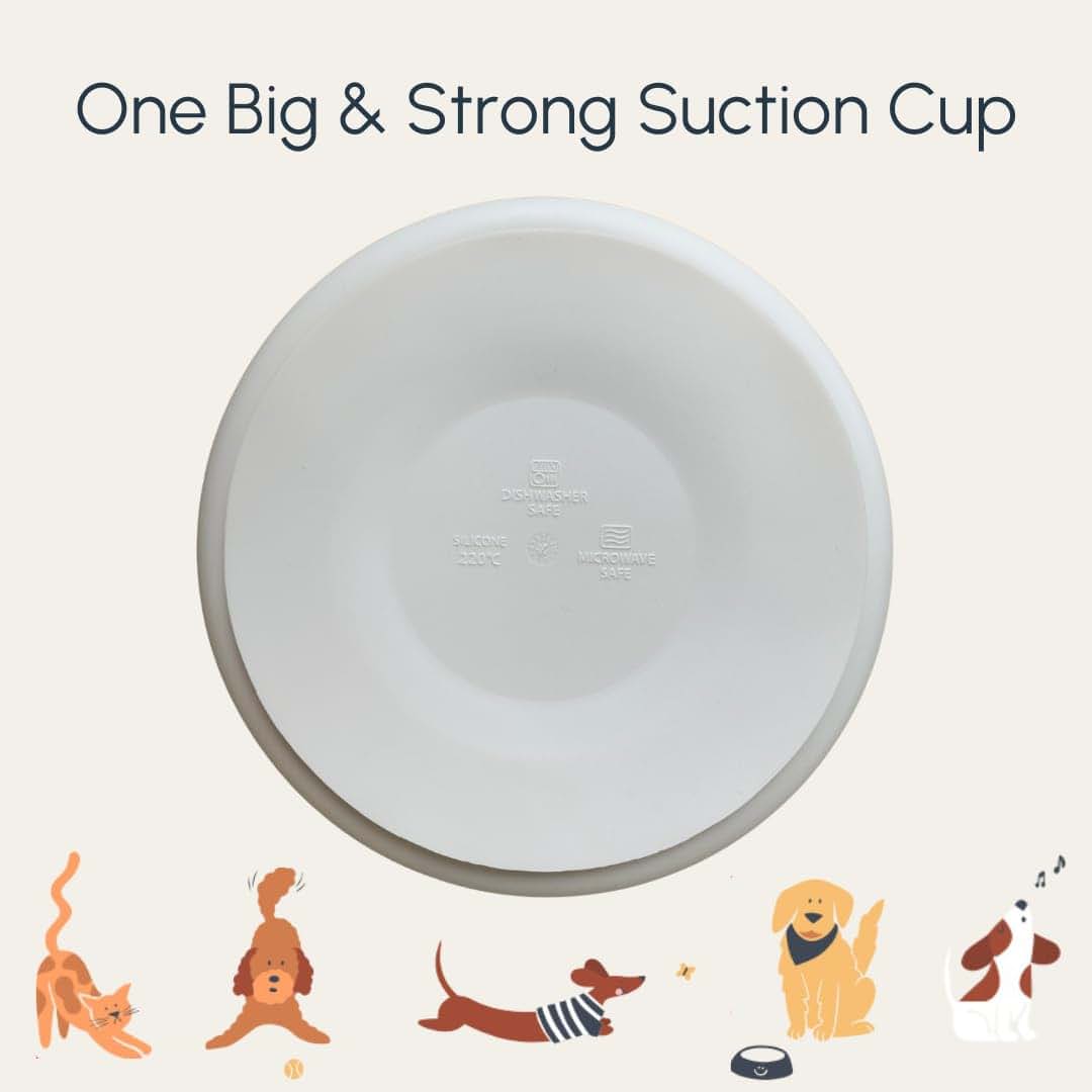 Studio Merveille Silicone Suction Plates with Dividers - Grip Plates for Babies 6-12 Months and Toddlers 1-3, Toddler (photo 4)