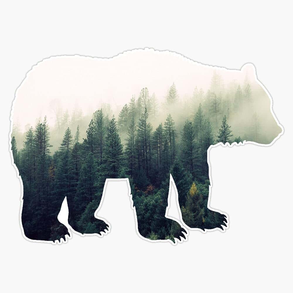 JB Print Bear In The Forest Vinyl Decal Sticker For Cars And Laptops