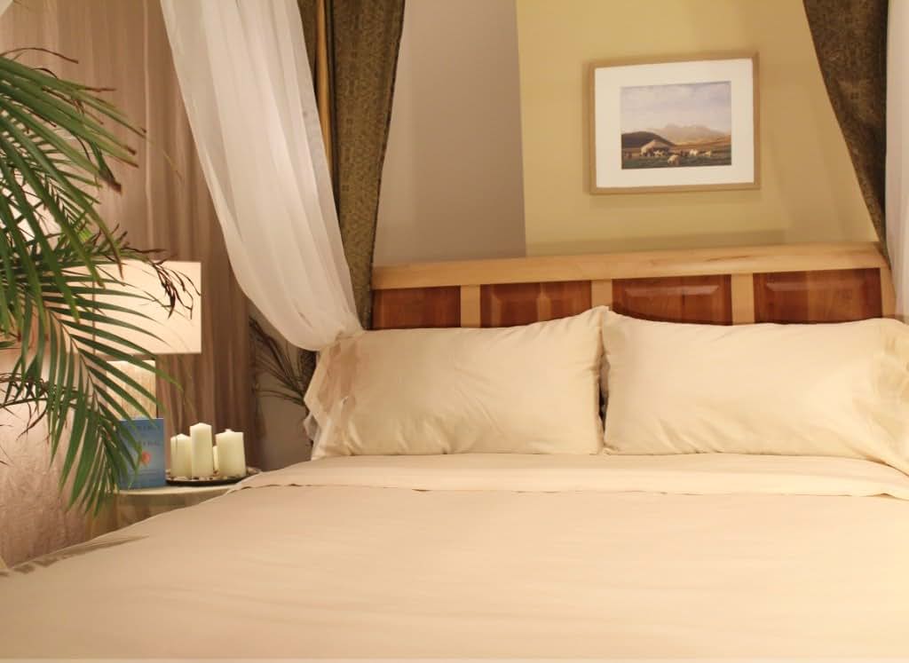 Sleep & Beyond Organic Cotton Sateen Pillowcase Pair