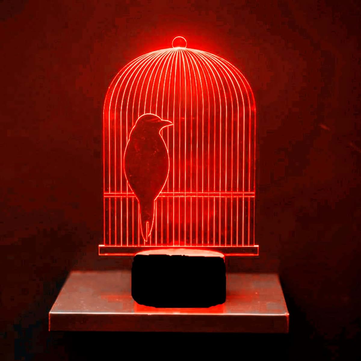Jinnwell 3D Birdcage Night Light Lamp Illusion 7 Color Changing Touch Switch Table Desk Decoration Lamps Acrylic Flat (photo 4)