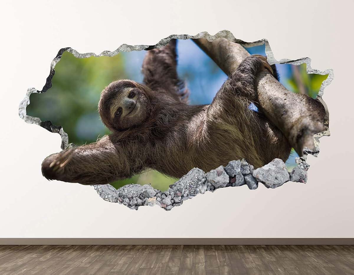 West Mountain Sloth Wall Decal Art Decor 3D Smashed Kids Animal Sticker Mural Nursery Boys Gift