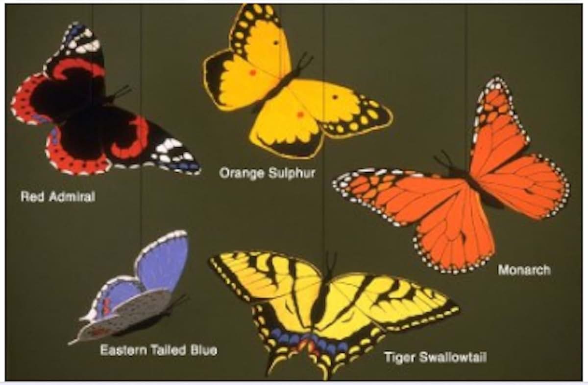 Skyflight Mobiles Butterfly Combo Mobile