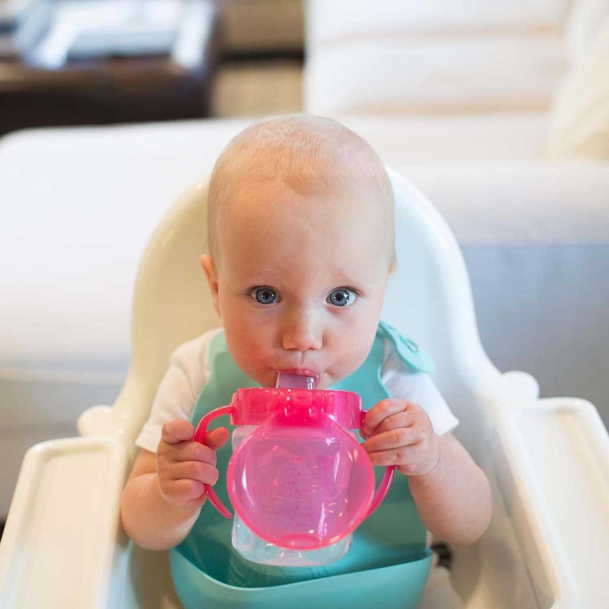 Dr. Brown's Milestones Soft Spout Sippy Cup with Handles - Pink Rainbow Pack of 12