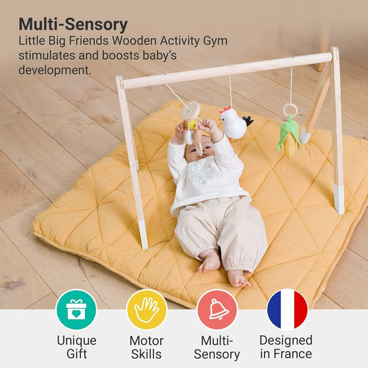 Little Big Friends Wooden Baby Activity Gym - Farm Theme Montessori Play Gym (photo 2)