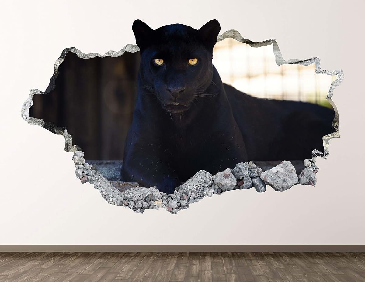 Decorative Wall Decal Set for Home Decoration
