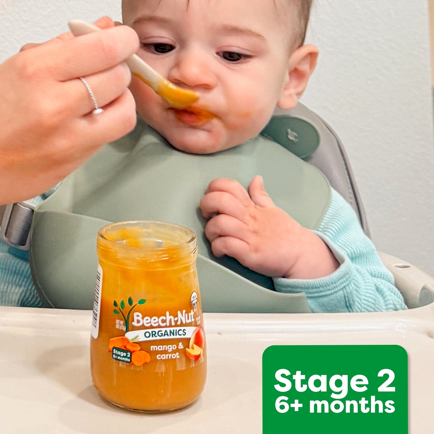 Beech-Nut Beef & Veggies Baby Food Pouch