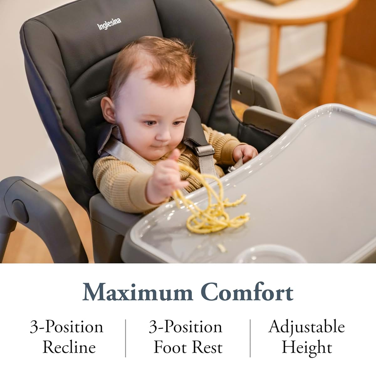 Inglesina My Time Highchair for Babies & Toddlers
