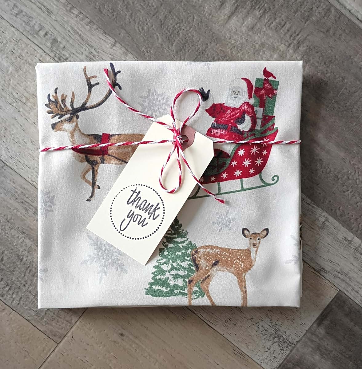 Ella & Max Santa Sleigh Reindeer Print Toddler Travel Pillowcase (photo 4)