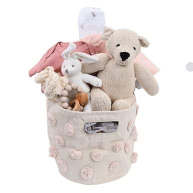Our Green House She's Here! Organic Newborn Gift Basket