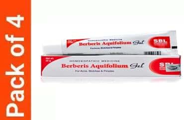 Jesica SBL Berberis Aquifolium Gel 25g Pack Of 4 (photo 2)