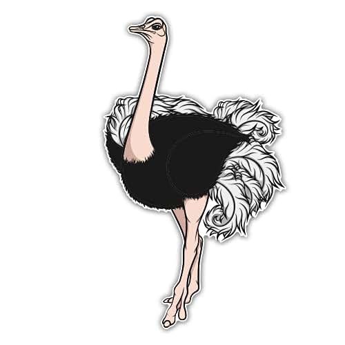 GT Graphics Express Ostrich - 3" Vinyl Sticker - for Car Laptop Water Bottle Phone - Waterproof Decal