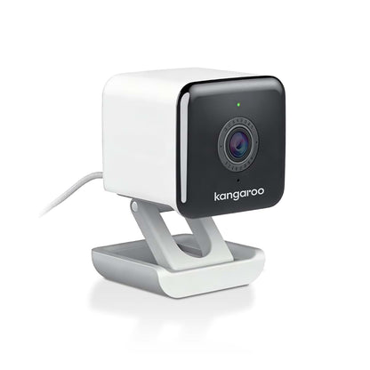 Kangaroo Mini Security Camera With AI Detection