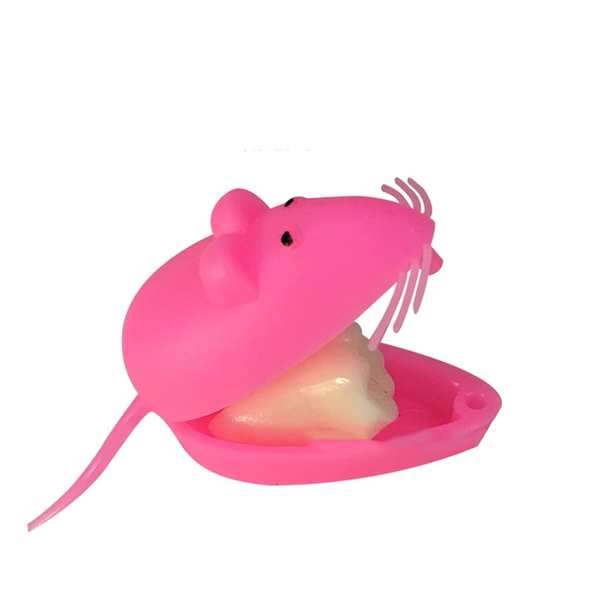 Oral Hygiene Supply, Everyday Dental Care Accessory