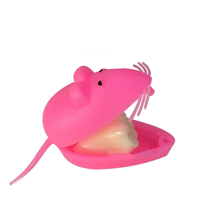 Oral Hygiene Supply, Everyday Dental Care Accessory
