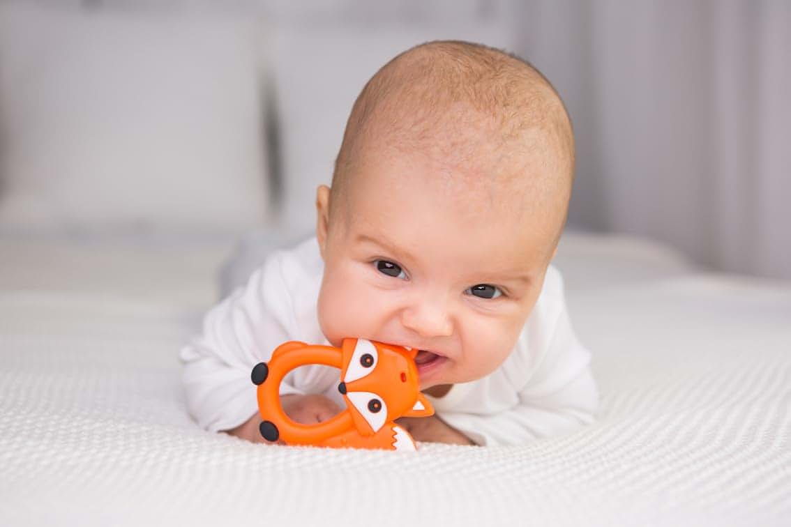 GiliGums Fox Silicone Baby Teether - Orange (photo 2)