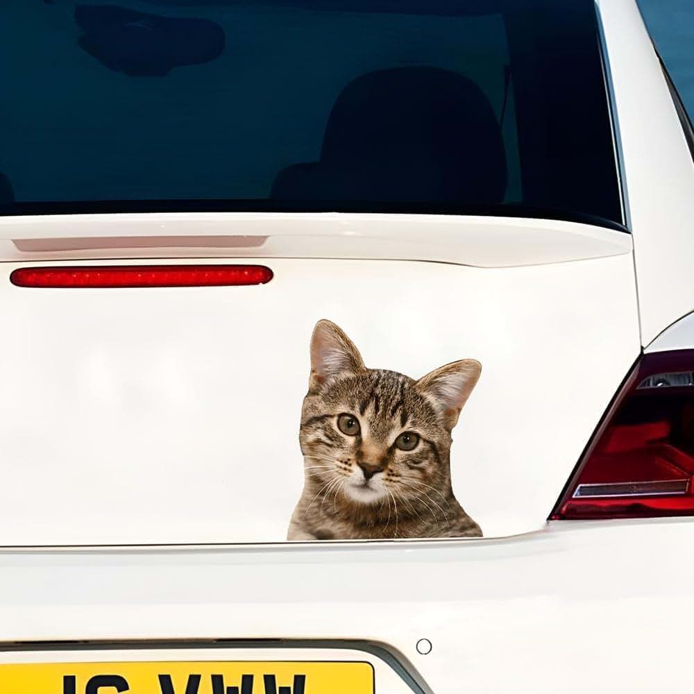China Cat Car Sticker Waterproof Vinyl Decal