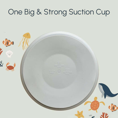 Studio Merveille Silicone Suction Plates with Dividers - Grip Plates for Babies 6-12 Months and Toddlers 1-3, Toddler