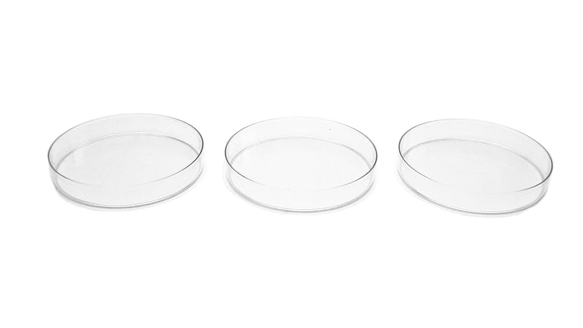 Carolina Custom Cages Phoenix Worms Dishes