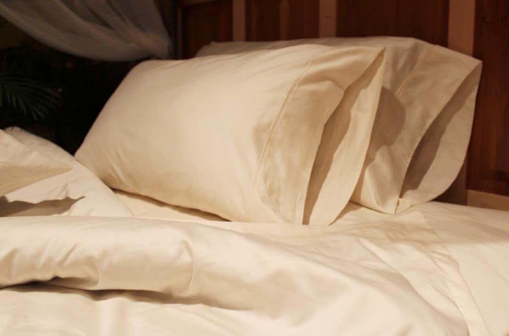 Sleep & Beyond Organic Cotton Sateen Pillowcase Pair