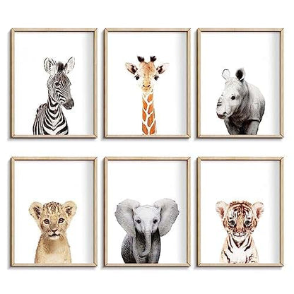 Calmart Jungle Nursery Wall Art Decor Safari Prints