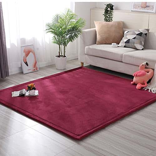 Dmkjdzsw Coral Velvet MatArea Rugs,Yoga Mat Exercise Pads,children'sLarge Foldable Play Mat, Extra Soft Activity Floor