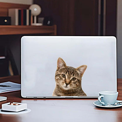 China Cat Car Sticker Waterproof Vinyl Decal