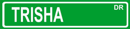 Any And All Graphics Trisha Green Aluminum Street Sign 4"x18" Room Décor