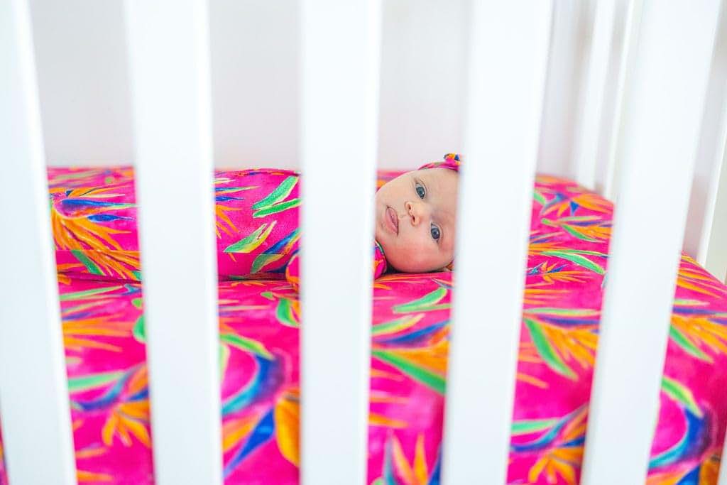 Florida Kid Co. Bird Of Paradise Fitted Crib Sheet For Standard Crib And Toddler Mattresses