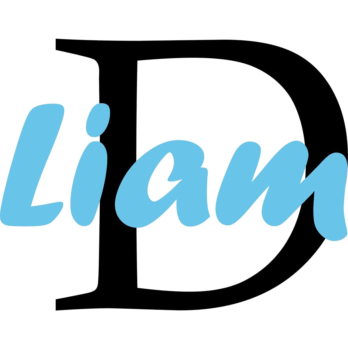 A TOP DESIGN Customized Name Wall Decals with Initial for Little Boys Bedroom - Initial Custom Wall Lettering for Boy