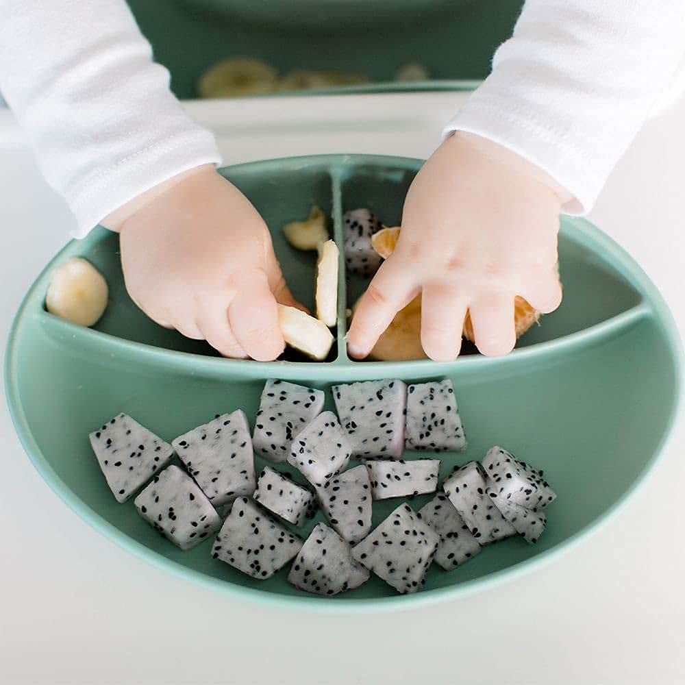 Baby Feeding Dish and Storage Container for Daily Meals