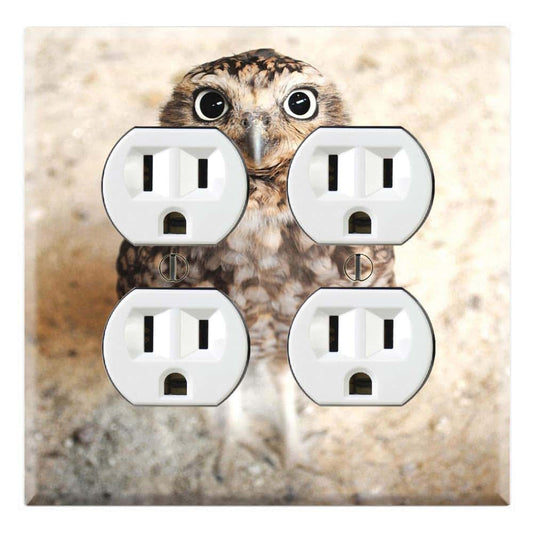 DecalSkin Graphics Wallplates - Cute Baby Owl - Quadplex Outlet Wall Plate Cover