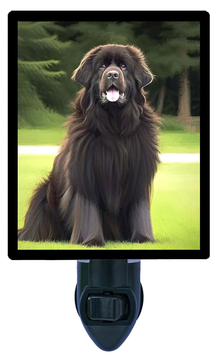 Night Light Designs Newfoundland Night Light – Dog Design, Fully Enclosed, Rotating Plug, Glass Front, 4 Watt Bulb
