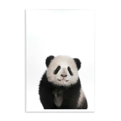 Stupell Industries Baby Panda Wall Plaque Art, 10x15 Inch