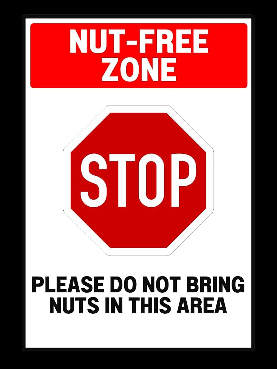 Doodilwild Nut Free Zone Children Safety Sign Sticker