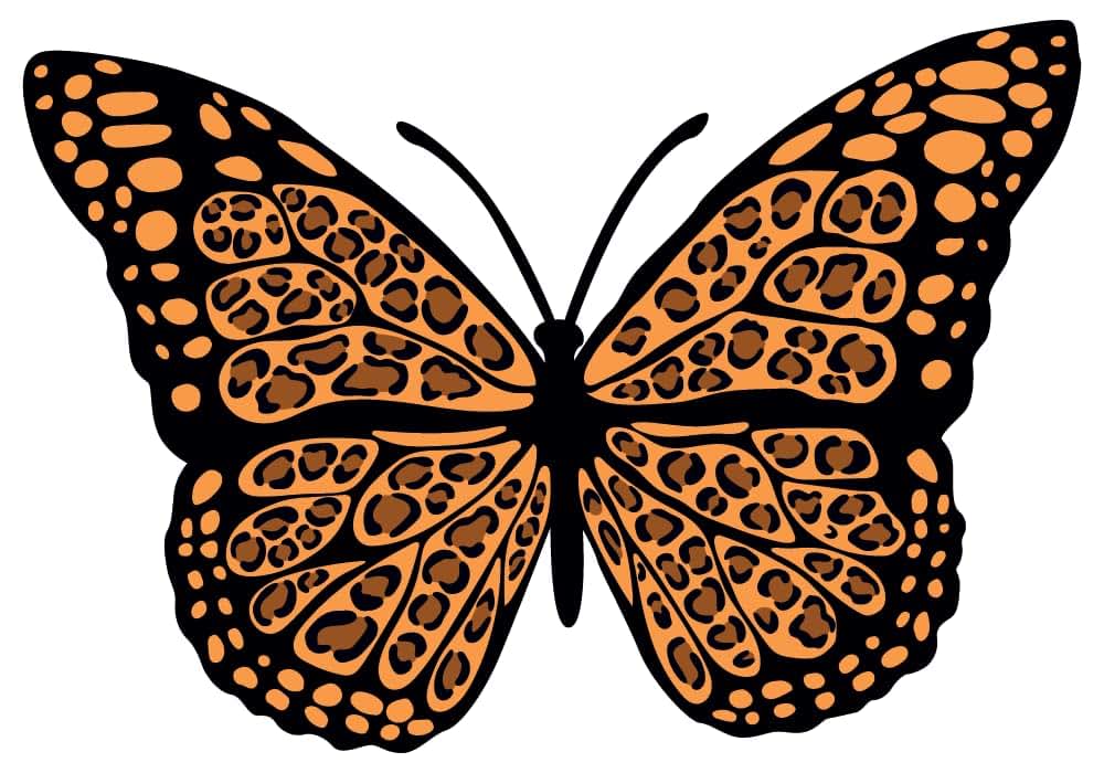 DS Inspirational Decals Multicolored Butterfly Wall Sticker