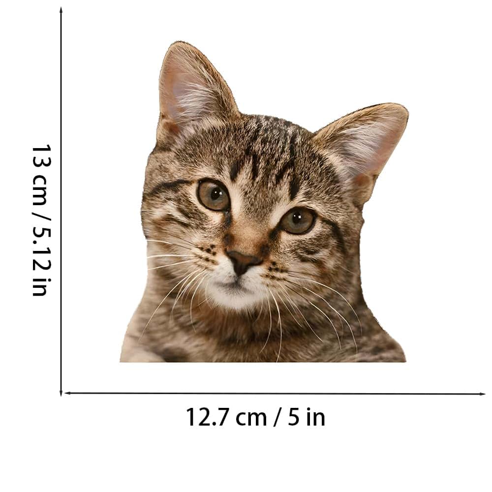 China Cat Car Sticker Waterproof Vinyl Decal