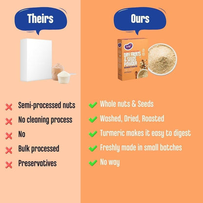 Shinetrix Early Foods Dry Fruits and Seeds Powder 100g