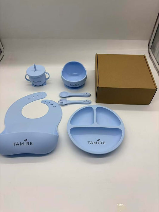 TAMIRE Baby Silicone Feeding Set, 6-Piece Toddler Self Feeding Set with Suction Plate, Bowl, Bib, Sippy Cup, Spoon and