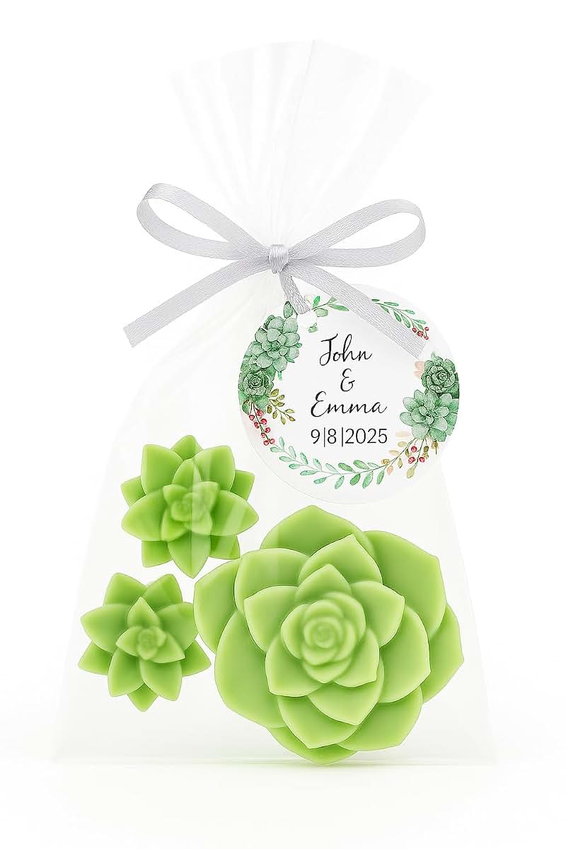 Amy's Bubbling Boutique Personalized Succulent Baby Shower Favors