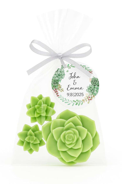 Amy's Bubbling Boutique Personalized Succulent Baby Shower Favors