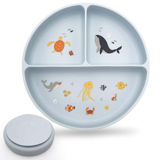 Studio Merveille Silicone Suction Plates with Dividers - Grip Plates for Babies 6-12 Months and Toddlers 1-3, Toddler
