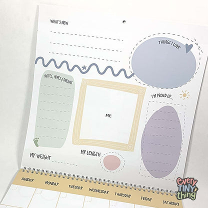 Every Tiny Thing My First Year - A NICU Baby Calendar with NICU Milestone Stickers to celebrate 365 days of precious (photo 3)