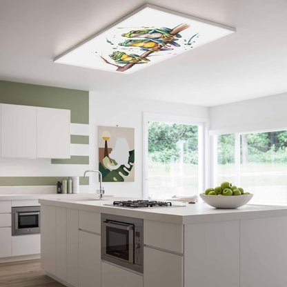 Watercolor Frog Fluorescent Light Covers for Ceiling Fixtures