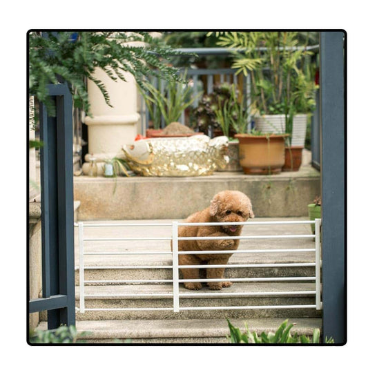 Gochusx Pet Gate, Extra Wide Walk Through Adjustable Safety Fence
