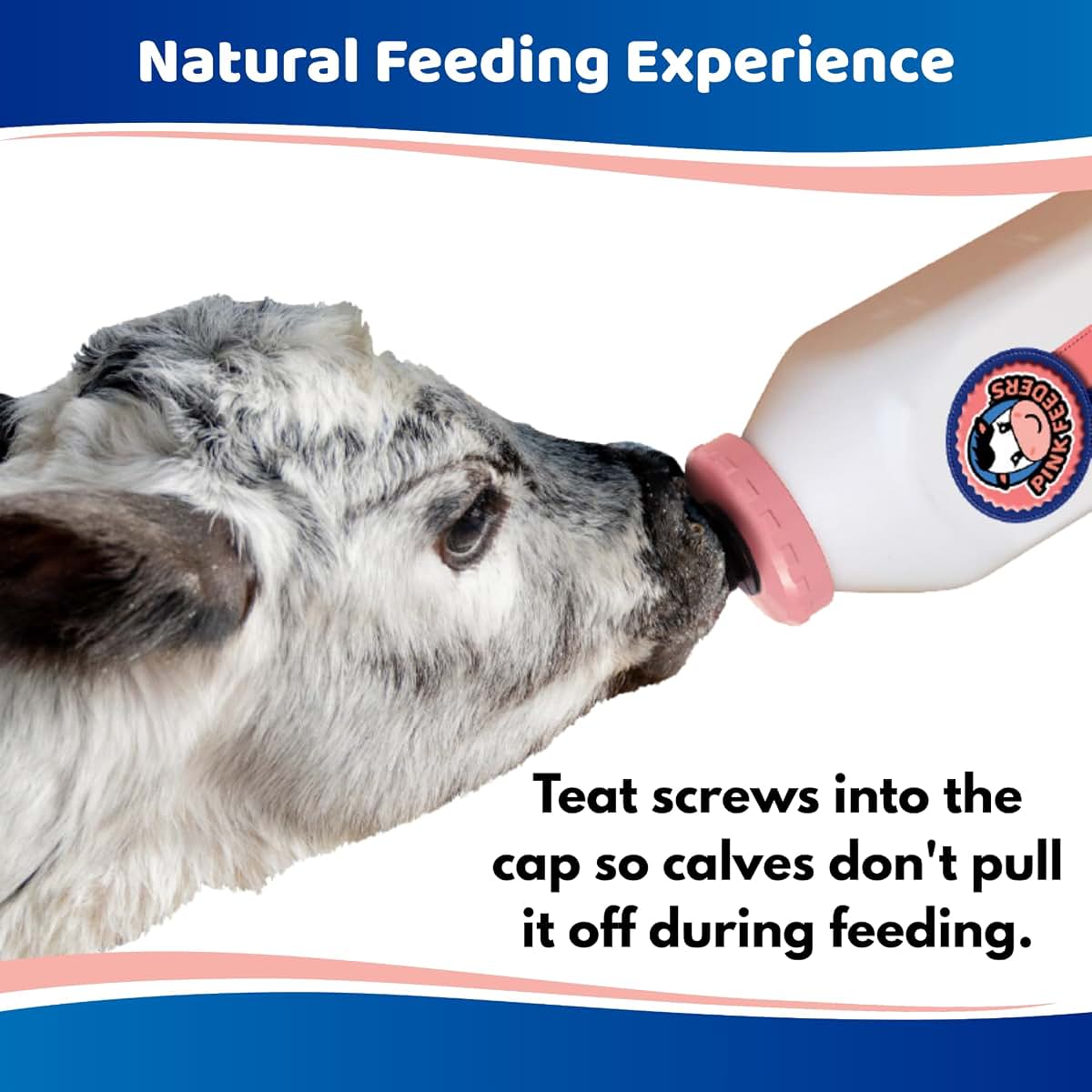 Pink Feeders 2-Quart Square Calf Bottle with Thriver Teat
