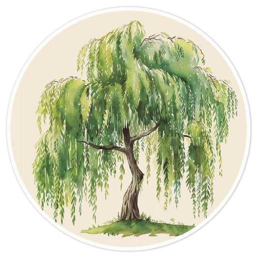 Azeeda Weeping Willow Tree Sticker, White 21cm Vinyl Decal