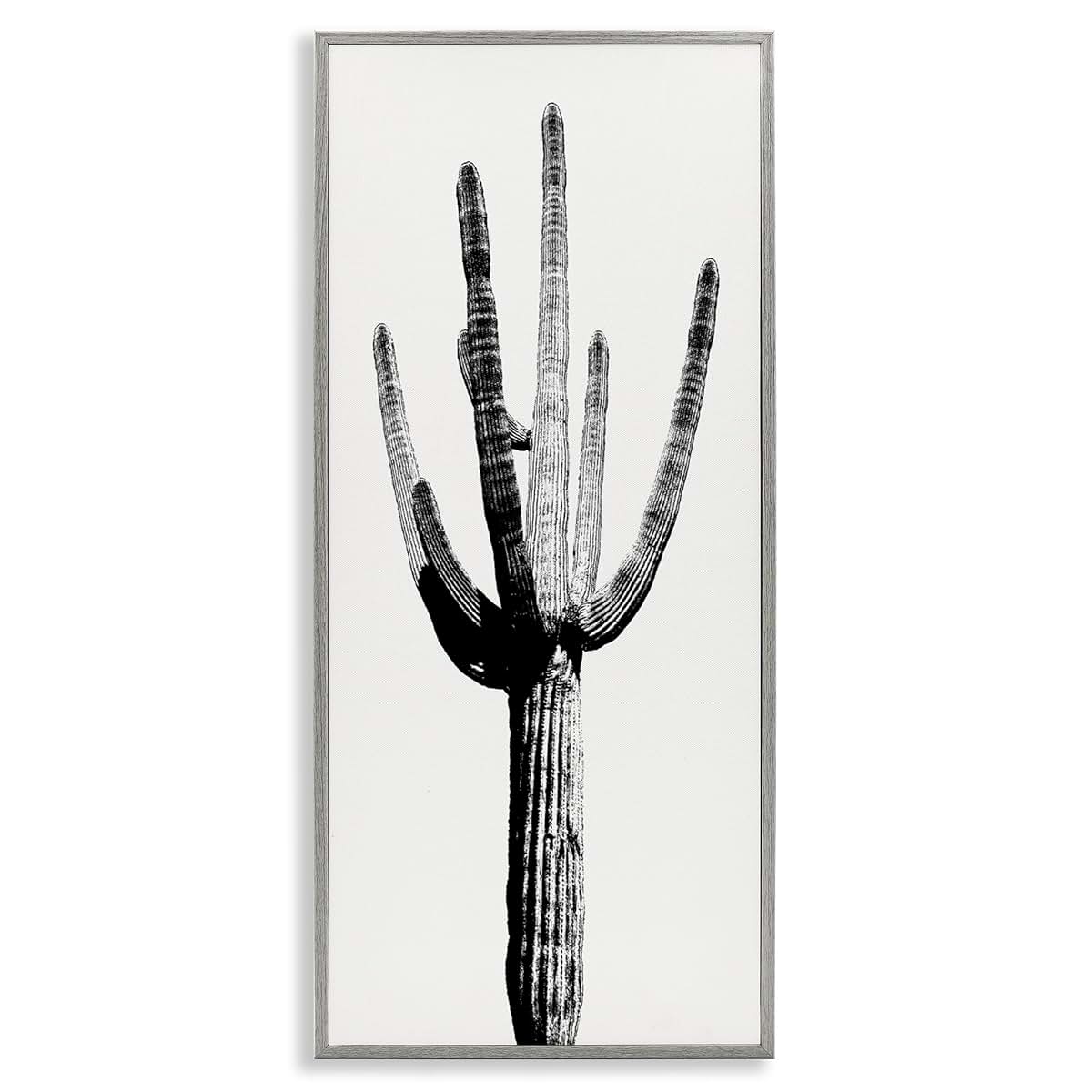 Stupell Industries Modern Grey Cactus Desert 10x24 Inch Framed Giclée Print by Mia Jensen